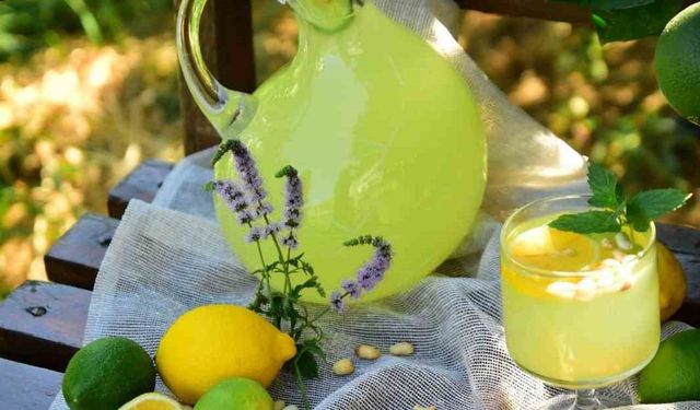 ’Fıstıklı limonata’ Alanya’nın tescilli lezzeti oldu