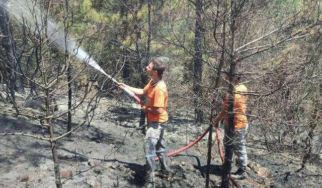 Gazipaşa’da çıkan orman yangınında 1 dönüm alan zarar gördü