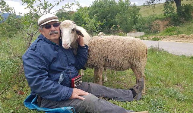 Hastalık sonrası aldığı küçükbaş hayvanlarla yeniden hayata bağlandı