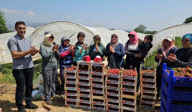 İşçi bayramını meydanda değil, tarlada kutladılar