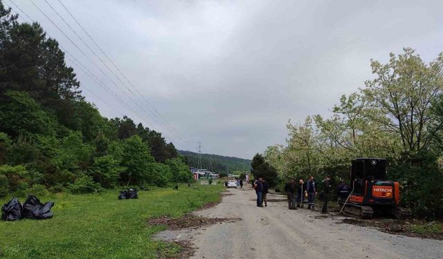 İstanbul Valisi Gül ormanda çocuklarla birlikte çöp topladı