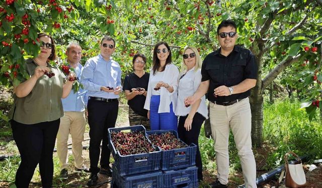 Kaymakam Altun, kırsaldaki çalışmaları inceledi