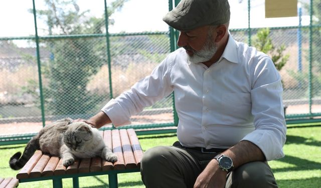 Kayseri’de ilk olan Küçük Dostlar Kedi Kasabası’na bir yılda rekor ziyaret