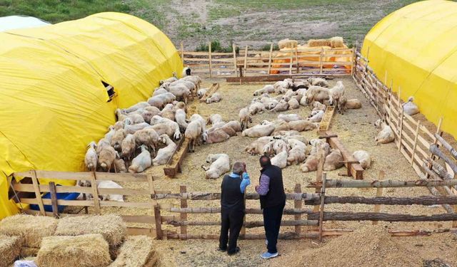 Keçiören’de kurban satış alanları için başvurular başladı