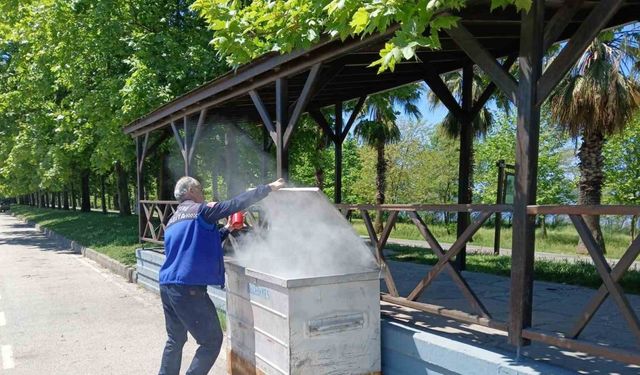 Mangal közü yangına sebep oldu