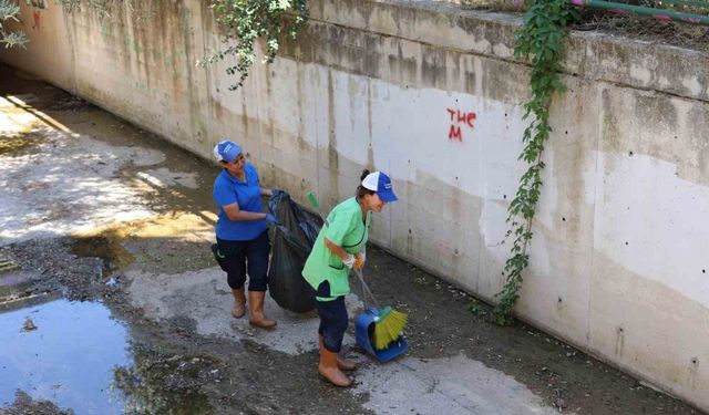 Marmaris’te derelerde ikili mücadele