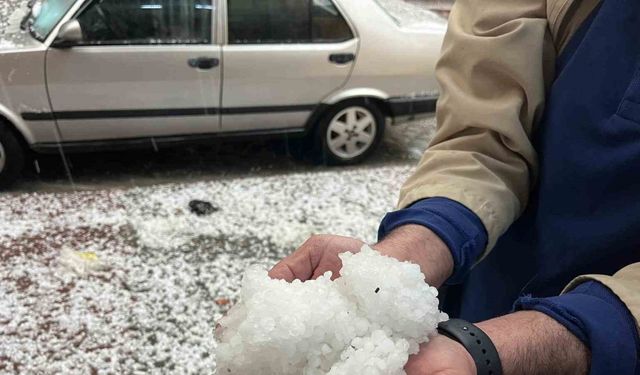 Mayıs ayında yağan dolu üreticiyi vurdu