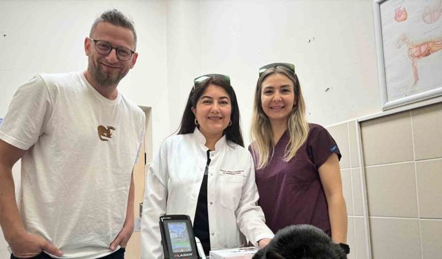 OMÜ Hayvan Hastanesinde ’düşük doz lazer tedavi’ hizmeti