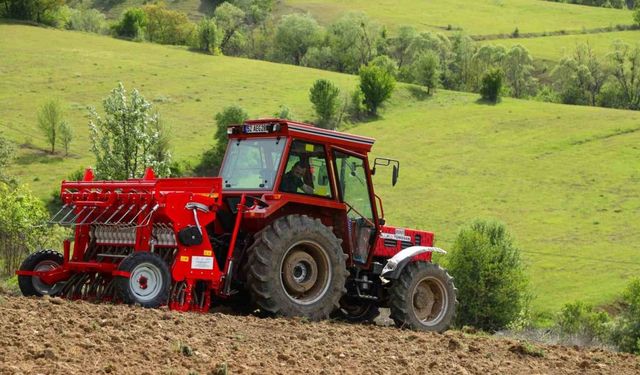 Ordu’da karabuğday üretimi için ekim yapıldı