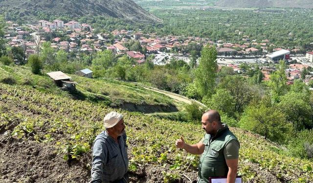 Sahayı adım adım dolaşıyorlar