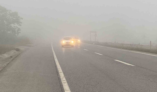 Sakarya güne sisle uyandı: Görüş mesafesi 20 metreye kadar düştü