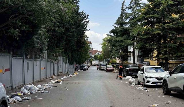 Şampiyonluk kutlamaları bitti, geriye çöp yığınları kaldı