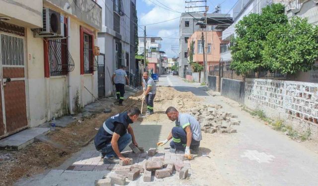 Seyhan Belediyesi sokakları sağlıklaştırıyor