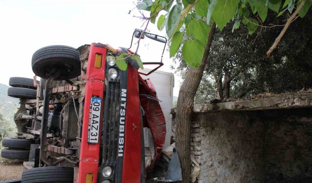 Seyyar pideciyi ölümden zeytin ağacı kurtardı