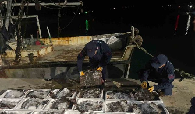 Sinop’ta 2 milyon lira değerinde kaçak kalkan balığı ele geçirildi