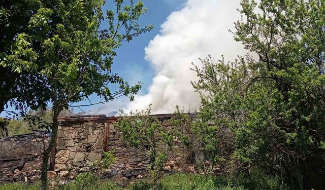 Sinop’ta ev yangını: 2 yaralı
