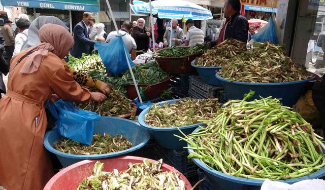 Sofraların vazgeçilmesi otlu peynire tat veren bitkilere büyük ilgi