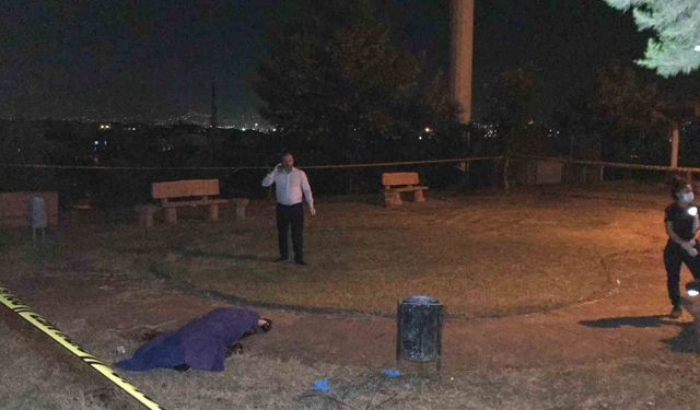 Tanımadığı genci parkta öldüren sanık: "’Niye bakıyorsun lan’ diyerek bana küfür etti"