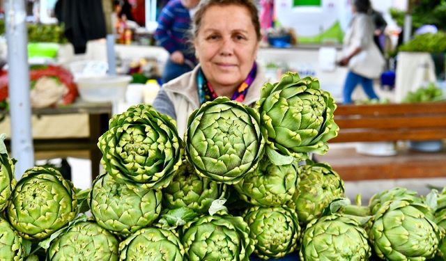 Urla Enginar Festivali için geri sayım başladı