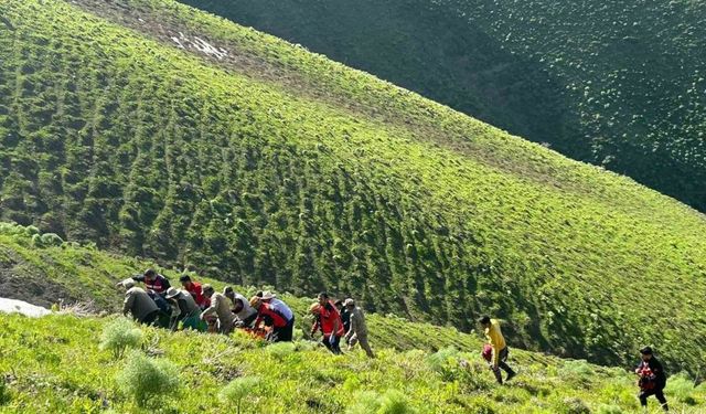 Van’da ot toplarken kayalıklardan düşen şahıs kurtarıldı