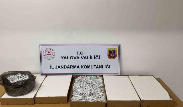 Yalova’da 35 bin adet dolu makaron ele geçirildi