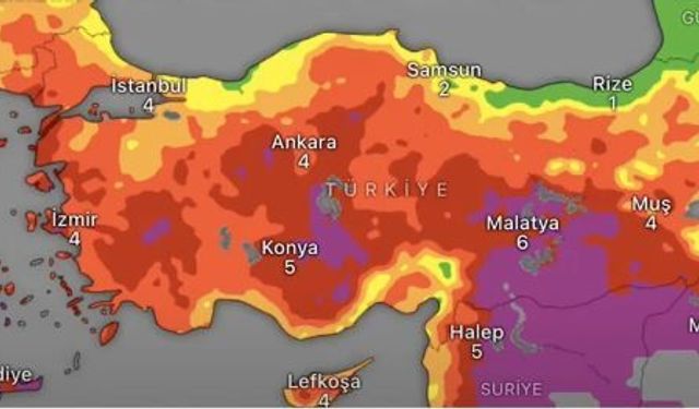 Sakarya'nın Yangın Risk Haritası Güncellendi