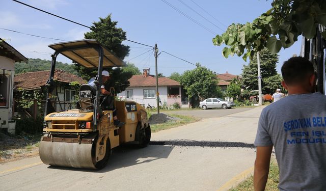 Serdivan’da Cadde ve Sokaklara Estetik Dokunuş