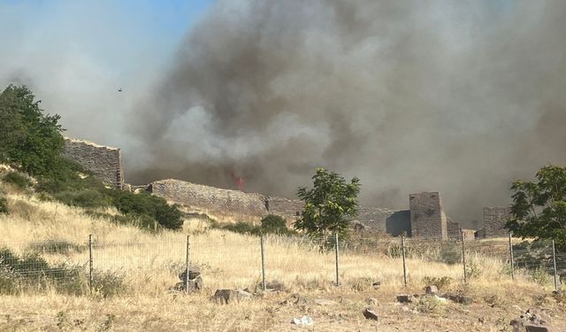 Ayvacık'ın Behram köyünde çıkan yangına müdahale ediliyor