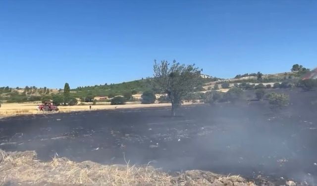 Balıkesir'de anızda başlayıp ağaçlandırma sahasına sıçrayan yangına müdahale ediliyor