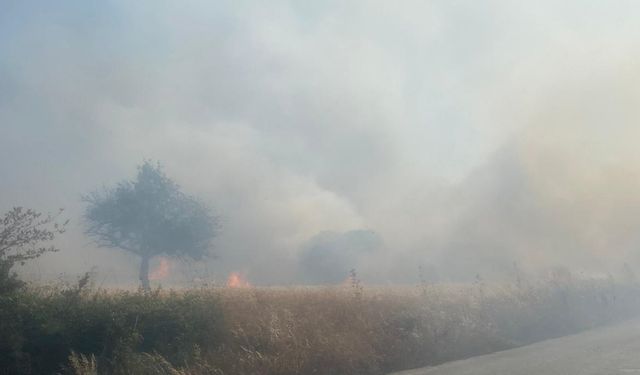 Balıkesir'de arazide çıkıp ormana sıçrayan yangına müdahale ediliyor