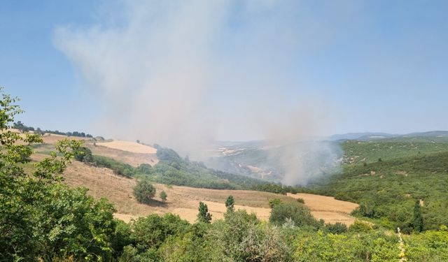 Balıkesir'de çıkan orman yangınına karadan ve havadan müdahale ediliyor