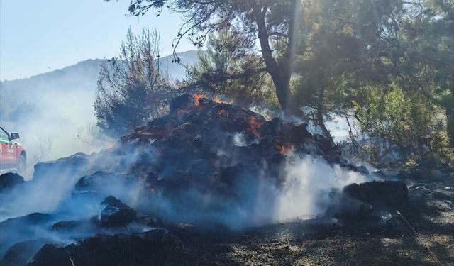 Balıkesir'de kırsal alanlarda çıkan yangınlara müdahale ediliyor