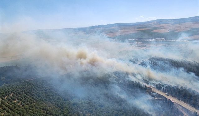 Balıkesir'de ormanlık alanda etkili olan yangın kontrol altına alındı