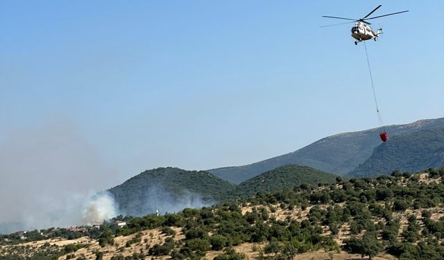 Balıkesir'de ormanlık alandaki yangına müdahale ediliyor