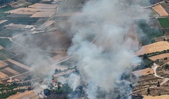 Balıkesir'de tarım arazisinde çıkan yangına müdahale ediliyor