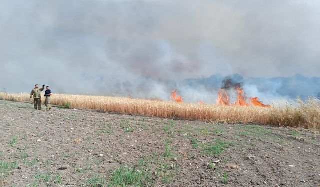 Balıkesir'deki arazi ve orman yangınları söndürüldü