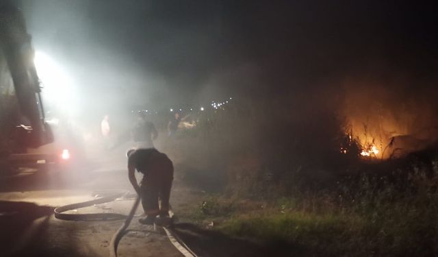 Balıkesir'in Edremit ilçesinde sazlık alanda çıkan yangın söndürüldü