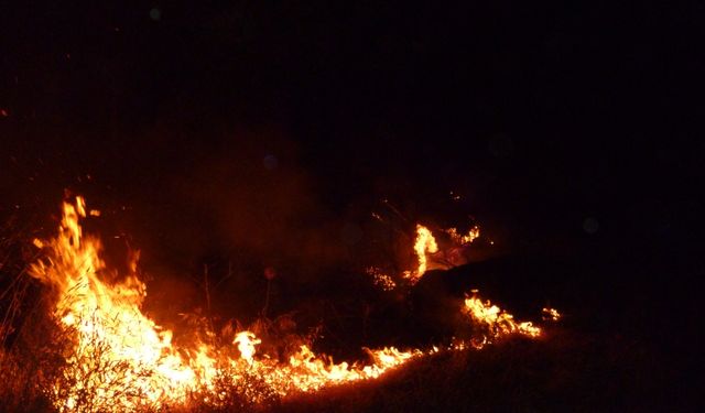 Bilecik'te ormanlık alanda çıkan yangın söndürüldü