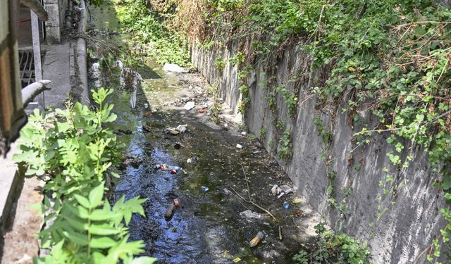 Boğaz'ı ve denizi kirleten İstanbul'daki dereler çevreye kötü koku yayıyor