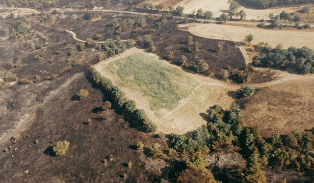 Bursa-Balıkesir il sınırında ormanlık alanda etkili olan yangın kontrol altına alındı