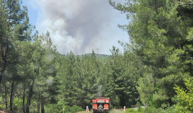 Bursa'da çıkan orman yangınına müdahale ediliyor