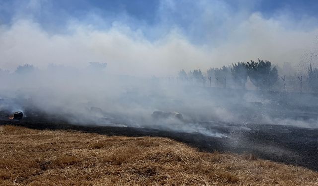 Bursa'da makilik alanda çıkan yangına müdahale ediliyor