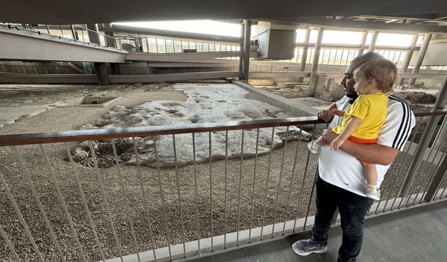 Depremlerde hasar almayan müzedeki "dünyanın en büyük taban mozaiği" tekrar ziyarete açıldı