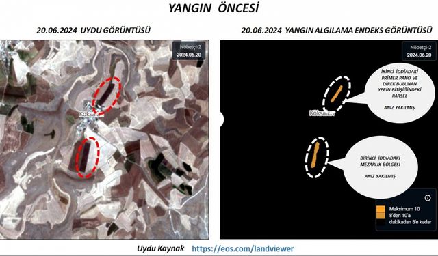 Dicle Elektrik Yönetim Kurulu Başkanı Atalay'dan Diyarbakır ve Mardin'deki yangına ilişkin açıklama: