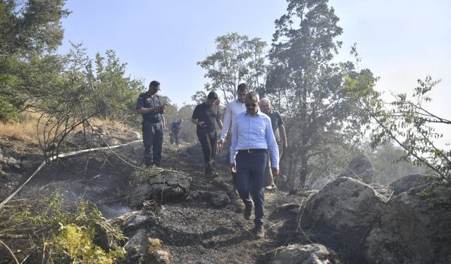 Edirne Valisi Sezer, Lalapaşa'da yangından etkilenen ormanlık alanda inceleme yaptı