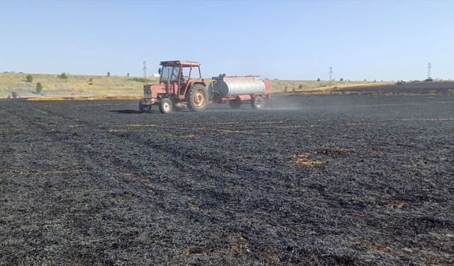 Edirne'de 110 dönümlük buğday ekili alan yandı