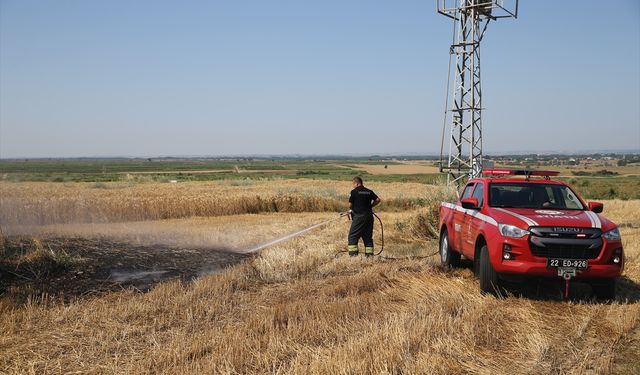 Edirne'de anız alanında başlayıp meyve bahçesine sıçraya yangın söndürüldü