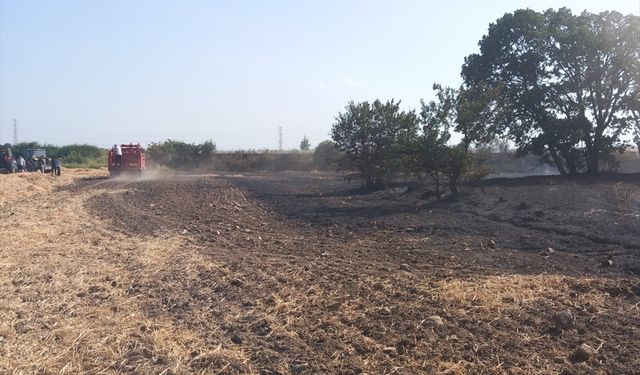 Edirne'de anız alanından ağaçlık bölgeye sıçrayan yangın söndürüldü