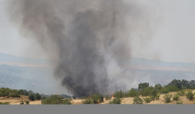 Edirne'de buğday tarlaları ve ormana sıçrayan yangın söndürüldü