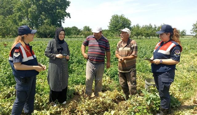 Edirne'de jandarma ekipleri KADES uygulamasını tanıtıyor